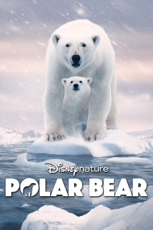 Gấu Bắc Cực - Polar Bear