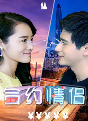 Hợp đồng tình nhân - Rented Boyfriend